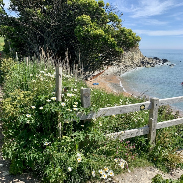Orchard Bay